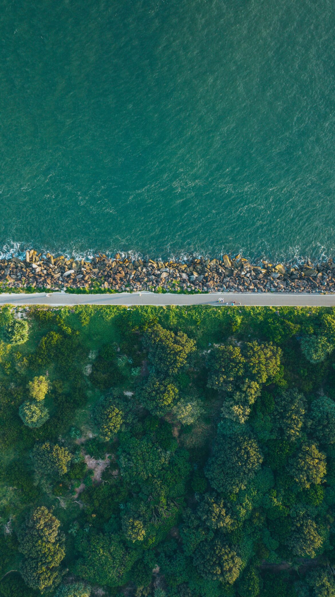 angus-gray-AfTpL3PfuzA-unsplash