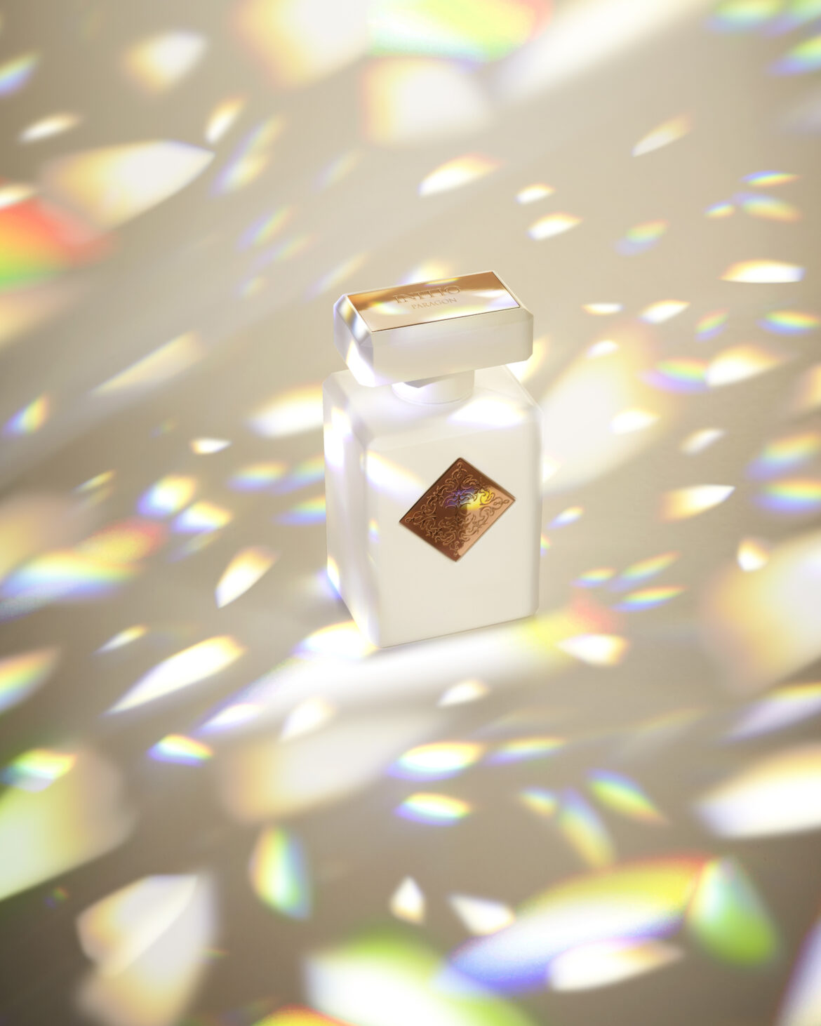 Visuel-4-Paragon-V4 (1)