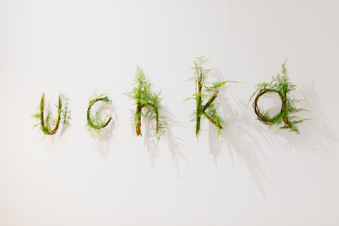 uchka premium kozmetika